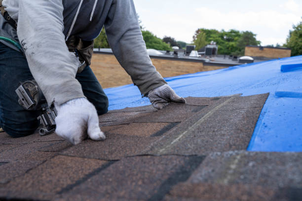 Best Roof Insulation Installation  in Theresa, WI